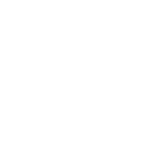 DriveXperience